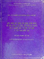 Biện pháp mở rộng tín dụng ngân hàng để góp phần cung ứng vốn cho sự nghiệp công nghiệp hóa và hiện đại hóa ở việt nam hiện nay 