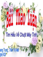 Bài giảng bai thao luan chuot may tinh