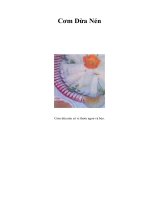Tài liệu Cơm Dừa Nén pdf