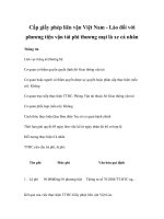 Tài liệu Cấp giấy phép liên vận Việt Nam - Lào đối với phương tiện vận tải phi thương mại là xe cá nhân pdf