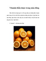 Tài liệu Vitamin thần dược trong mùa đông pdf