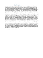 Bài giảng hat giông tâm hôn