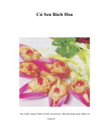 Tài liệu Củ Sen Bách Hoa docx
