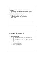 Tài liệu Chi phí kinh tế của lao động và chi phí kinh tế của vốn pptx