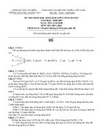 Bài soạn ĐỀ 1 ĐÁP ÁN THI HSG NH 2008 -2009