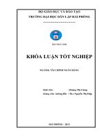Vận dụng quy trình cấp hạn mức tín dụng của ngân hàng TMCP xăng dầu PETROLIMEX – chi nhánh hải phòng để xác định hạn mức tín dụng cho công ty CP thép việt nhật 