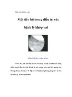 Tài liệu Nội soi khớp vai: Một tiến bộ trong điều trị các bệnh lý khớp vai docx