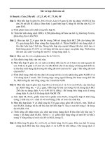 Bài soạn bai tập hay về Fe