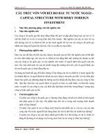 CẤU TRÚC vốn với rủi RO đầu tư nước NGOÀI   CAPITAL STRUCTURE WITH RISKY FOREIGN INVESTMENT 