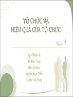 Tổ chức và hiệu quả của tổ chức 