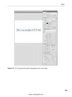 Tài liệu Foundation Flash CS5 For Designers- P8 pdf