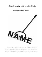 Tài liệu Doanh nghiệp nhỏ và vấn đề xây dựng thương hiệu docx