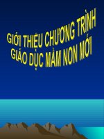 Tài liệu Chương trình GDMN mới doc