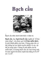 Tài liệu Bạch cầu pdf