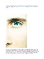 Giúp bạn bảo vệ thị lực cho mắt