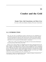 Tài liệu Grid Computing P11 pptx