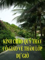 Bài giảng Ca dao than thân, yêu thương tình nghĩa -T1