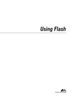Tài liệu Using Flash MX doc