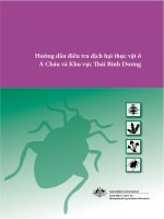 Tài liệu Hướng dẫn điều tra dịch hại thực vật ở Á Châu và Khu vực ái Bình Dương pdf
