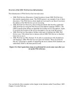 Tài liệu Overview of the XML web Services intracstructure pptx
