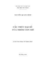 Cấu trúc đại số của nhóm con mờ 