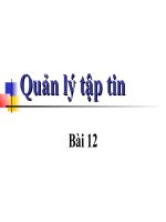 Quản lý tập tin