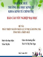 PHÁT TRIỂN NGUỒN NHÂN lực ở THỊ xã HƯƠNG TRÀ TỈNH THỪA THIÊN HUẾ 
