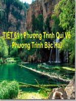 Gián án Phương trình quy về pt bậc 2(vip)