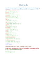 Tài liệu Cấu trúc câu pptx