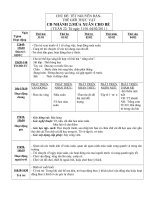 Bài giảng TẾT- TGTV (tuần 22)