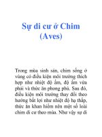 Tài liệu Sự di cư ở Chim (Aves) docx
