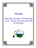 Tài liệu Tiểu luận: Khả năng vận dụng mô hình công ty mẹ - công ty con trong nền kinh tế Việt Nam ppt