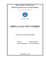 Giải pháp marketing nhằm đẩy mạnh tiêu thụ sản phẩm của công ty TNHH gas petrolimex hải phòng 