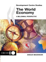 Development economics studies   the world economy   a millennial perspective 
