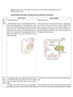 Bài soạn giun dot