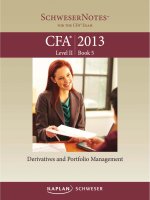 2013 CFA level 2  - book 5