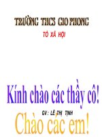 Gián án TIẾT 16 BÀI 15 NƯỚC ÂU LẠC (T2)