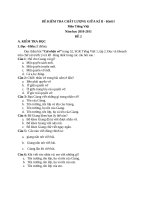 Bài giảng Đề kiểm tra giữa kì 2