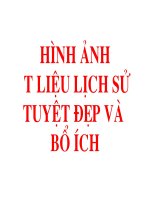 Bài giảng Hinh anh chien tranh the gioi thu nhat