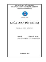 Hoàn thiện tổ chức công tác kế toán chi phí, doanh thu và xác định kết quả kinh doanh tại công ty phát triển khu công nghiệp nomura hải phòng 