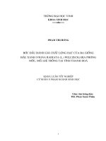 Bước đầu đánh giá chất lượng hạt cuả ba giống đậu xanh (vgna radiata (l ) wilczeck) địa phương mốc, mỡ, gié trồng tại tỉnh thanh hoá 