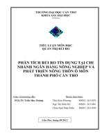 Phân tích rủi ro tín dụng tại ngân hàng nông nghiệp và phát triển nông thôn ô môn thành phố cần thơ 