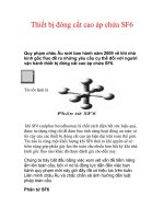 Tài liệu Thiết bị đóng cắt cao áp chứa SF6 pptx