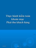 Thực hành kiểm toán