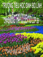 Bài soạn Tập đọc: Cái cầu (tuần 22)