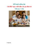 Tài liệu Kế hoạch giảng dạy - Chủ đề: Ngày cuối tuần của gia đình tôi ppt