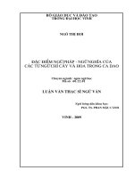 Đặc điểm ngữ pháp   ngữ nghĩa của các từ ngữ chie cây và hoa trong ca dao 