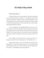 Tài liệu Kỹ thuật trồng chanh docx