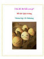 Tài liệu Chủ đề: Bé biết con gì? - Đề tài: Quả trứng - Nhóm lớp: 25-36tháng pptx