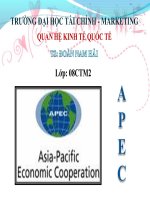 Tài liệu QUAN HỆ KINH TẾ QUỐC TẾ - Apec pptx